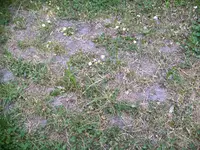 IMAG0304.webp