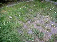 IMAG0303.webp