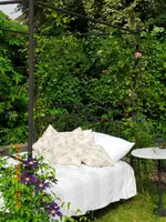 CIMG0566.webp