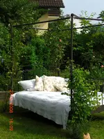 CIMG0567.webp