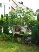 CIMG0575.webp