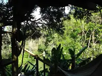 Disney Land Ausblick vom Baumhaus.webp