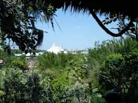 Disney Land toller Ausblick.webp