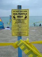 Meeresschildkrötennest mitten am Strand.webp