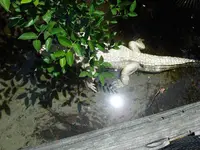 nicht mein Favorit.webp