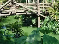 Disney Land 4.webp