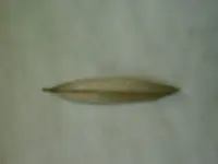 IMAG0309.webp