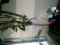 IMAG0306.webp