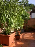 Garten 05-3 051.webp