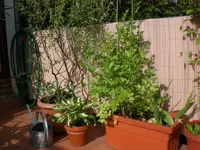 Garten 05-3 050.webp