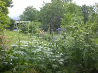 Garten 05-3 045.webp