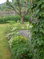 Garten 05-3 044.webp