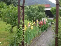 Garten 05-3 043.webp