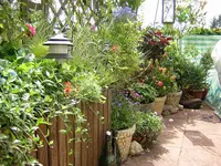 DSCN0111.webp