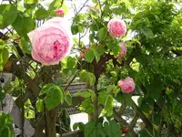 DSCN0112.webp