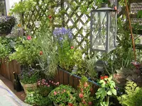 DSCN0116.webp
