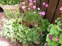 DSCN0117.webp