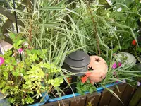 DSCN0118.webp