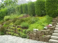 P6010054_600x600_100KB.webp