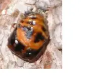 bild1.webp