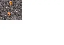 bild3.webp