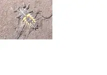 bild5.webp