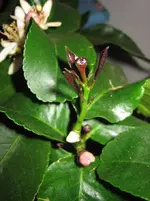 IMG_7634.webp