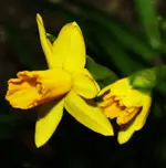 25.3.10 Abends (14) (Kopie).webp