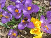 002.webp