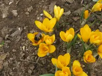 003.webp