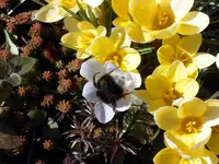 SDC10468.webp