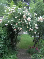 IM000787.webp