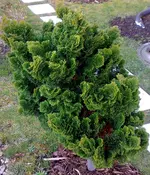 27032010059.webp