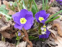 P1010316.webp