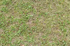 20100328-DSCF9824.webp