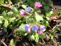 JD500700.webp