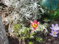 P1100473_600_449.webp