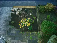 frühling vorgarten.webp