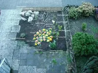 frühling vorgarten2.webp
