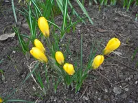 CIMG8948.webp