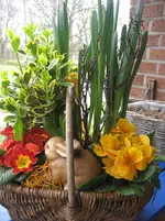 IMG_0659.webp