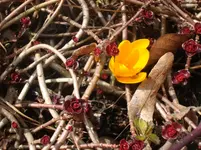 DSC01480.webp