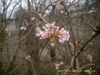 JD800013.webp