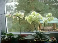 JD800022.webp