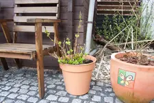 20100328140328.webp