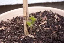 20100328140419.webp