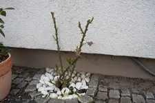 20100328140431.webp
