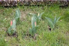 20100328140502.webp