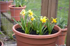 20100328140507.webp