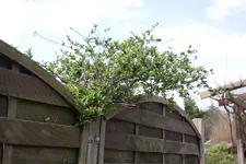20100328140539.webp